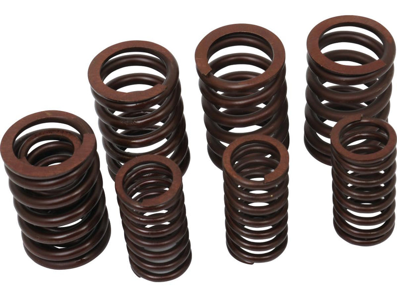 Valve Spring Kit Set Of 4 Inner & Outer Valve Springs