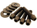 Sprocket / Pulley Screw Kit 5 Conical Allen Head Screws, 5 Washers Titanium Satin For 91-20 Sportster