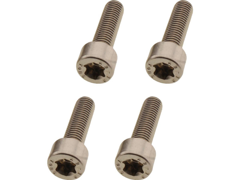 Handlebar Clamp Screw Kit Stainless Steel