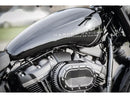 Efi Cover