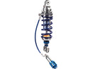 FQE31 Rear Monoshock For 21-24 Pan America