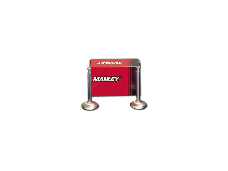 Race Master Intake Valve For 85-94 FX Model