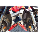 Radiator Guard Black For Ducati Streetfighter V2