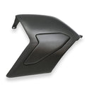 Swingarm Cover Carbon For Ducati Panigale V4