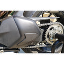 Swingarm Cover Carbon For Ducati Panigale V4