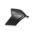 Swingarm Cover Carbon For Ducati Panigale V4