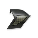 Swingarm Cover Carbon / Kevlar For Ducati Panigale V4