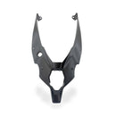Undertail Cover Carbon For Ducati Streetfighter V4