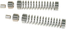 Front Fork Springer Lowering Kit