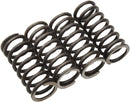 Clutch Spring Set For Yamaha TT-R 125 28