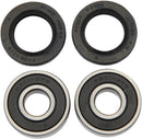 Wheel Bearing And Seal Kit For Yamaha TT-R 50 E 2006-2024