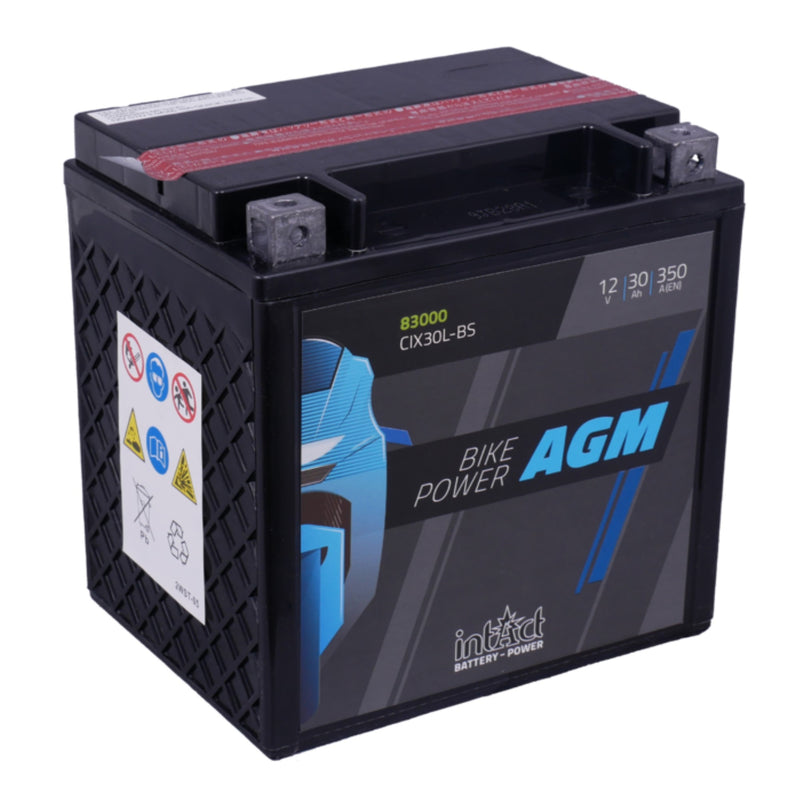 YTX30L-BS Maintenance Free AGM Bike-Power Battery