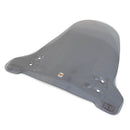 Screen For Segway E110 / 125 / 200S