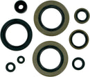 Motor Oil Seals