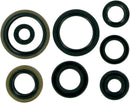 Motor Oil Seals For Suzuki RM 125 23