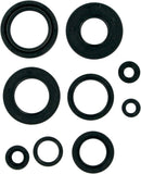 Oil Seal Set