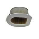 Air Filter (OE Replacement) For Kawasaki Models -