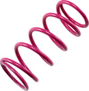 Primary Clutch Spring Pink