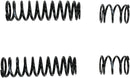 13 Series Shock Springs Black - 65/130