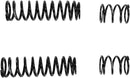 13 Series Shock Springs Black - 75/155