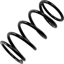 Primary Clutch Spring Black