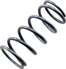 Primary Clutch Spring Silver