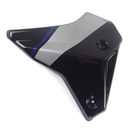 Front Infill Panels SP Colours For Yamaha MT-09 SP 2021-Current