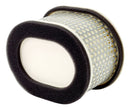 Air Filter (OE Replacement) For Yamaha Models -