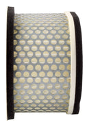 Air Filter (OE Replacement) For Yamaha Models -