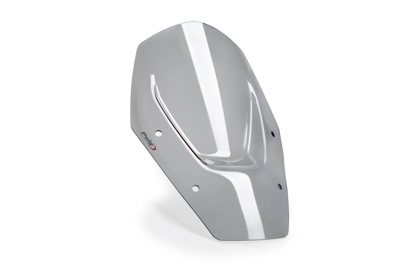 Sport Screen Light Smoke For BMW R1300GS without Radar 2023-Current