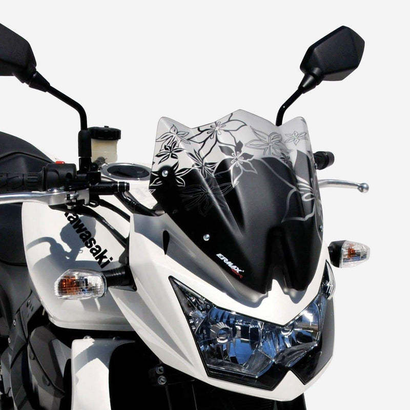 Sport Screen Satin Black For Kawasaki Z 750 2007-2012