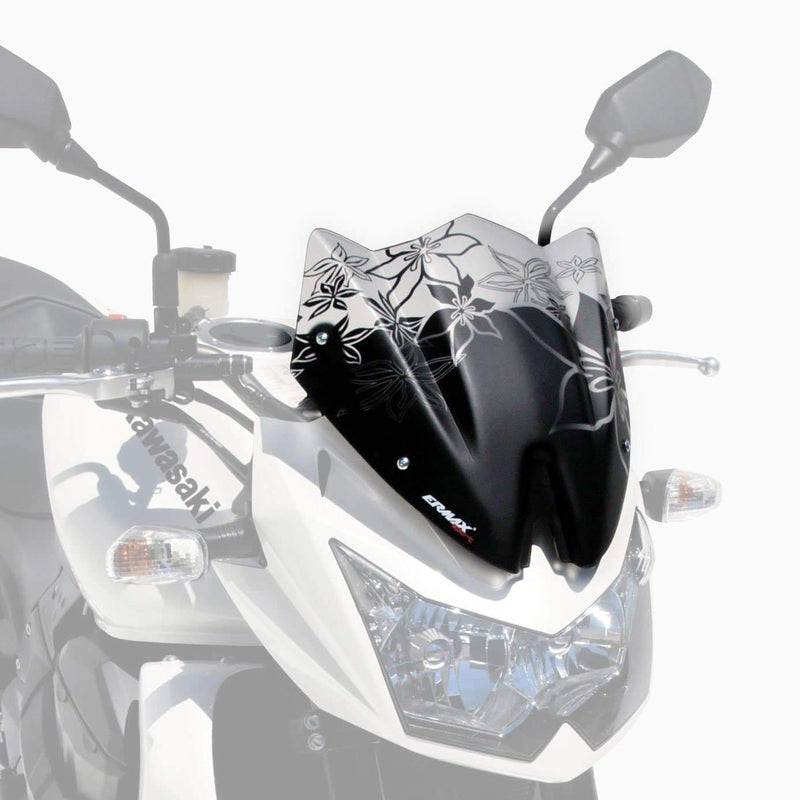 Sport Screen Satin Black For Kawasaki Z 750 2007-2012