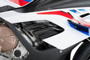Infill Panels For Matte Black For BMW S1000 RR 2019-Current