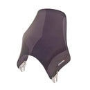 Naked Screen Dark Smoke For Honda CB 600 F Hornet 2003-2004