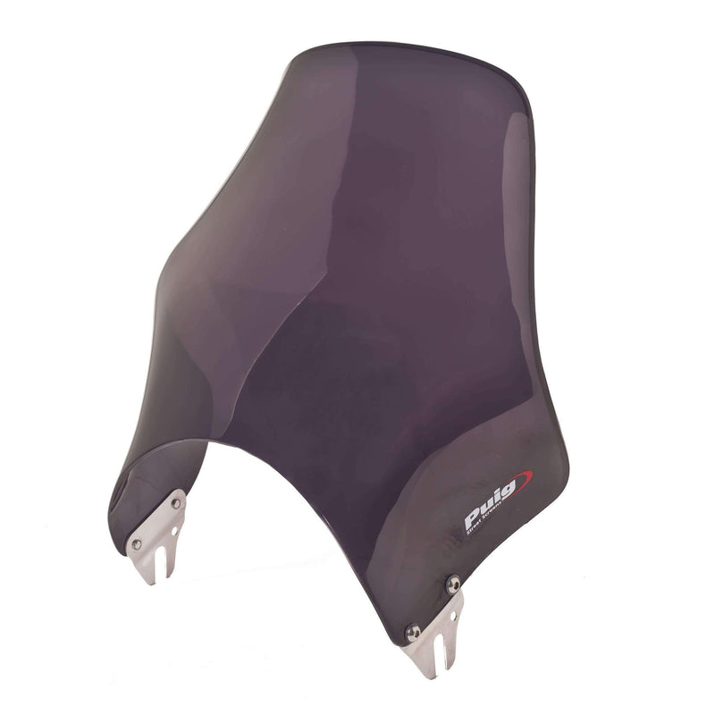 Naked Screen Dark Smoke For Triumph Thruxton 1200 2016-2019