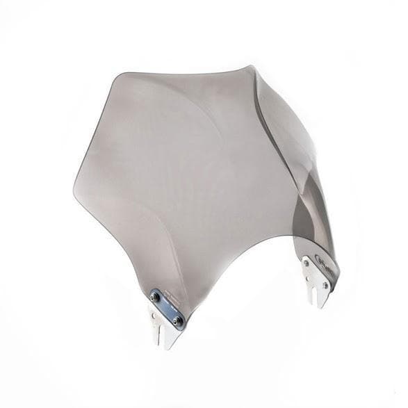 Raptor Screen Light Smoke |