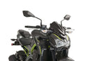 Sport Screen Carbon Look For Kawasaki Z 900 2017-2019