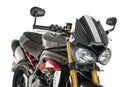 Sport Screen Carbon Look For Triumph Speed Triple 1050 2016-2020