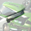 Frame Cover Carbon For Kawasaki ZX6-R 1998-1999