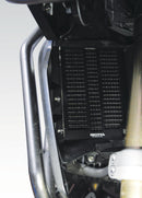 Radiator Guards For BMW R 1200 GS / GS Adventure