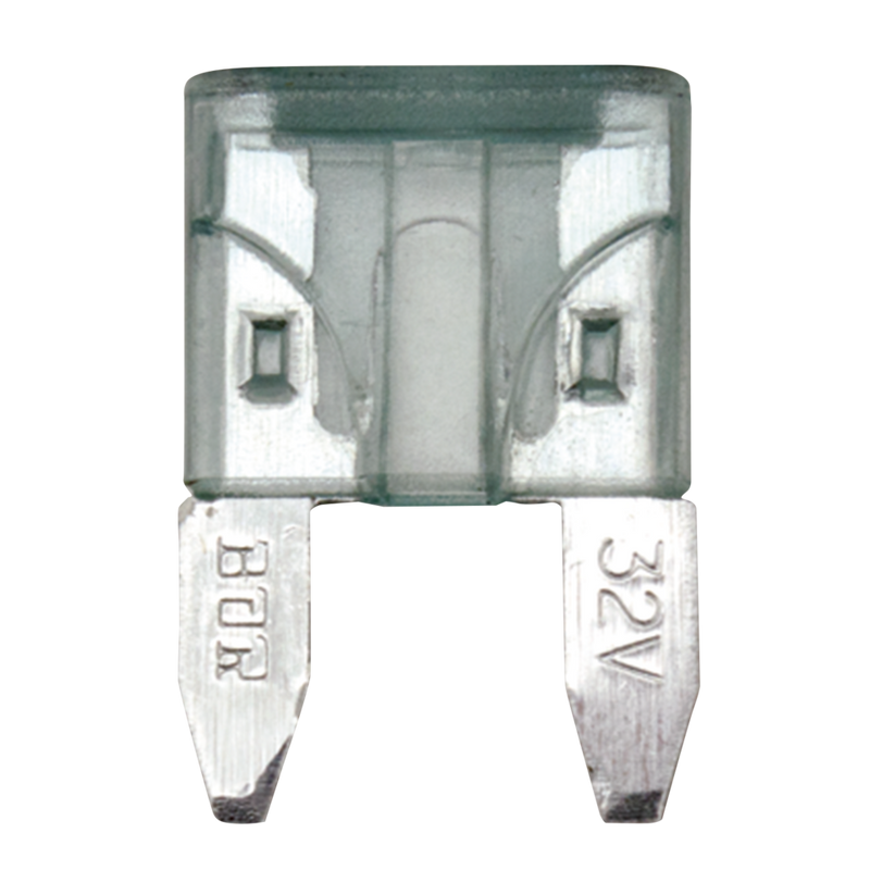 2-AMP MINI Fuse - Pack Of 5