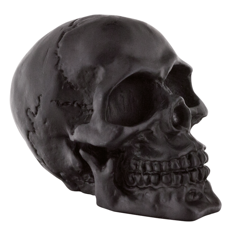 Black Fender Mounted Skull