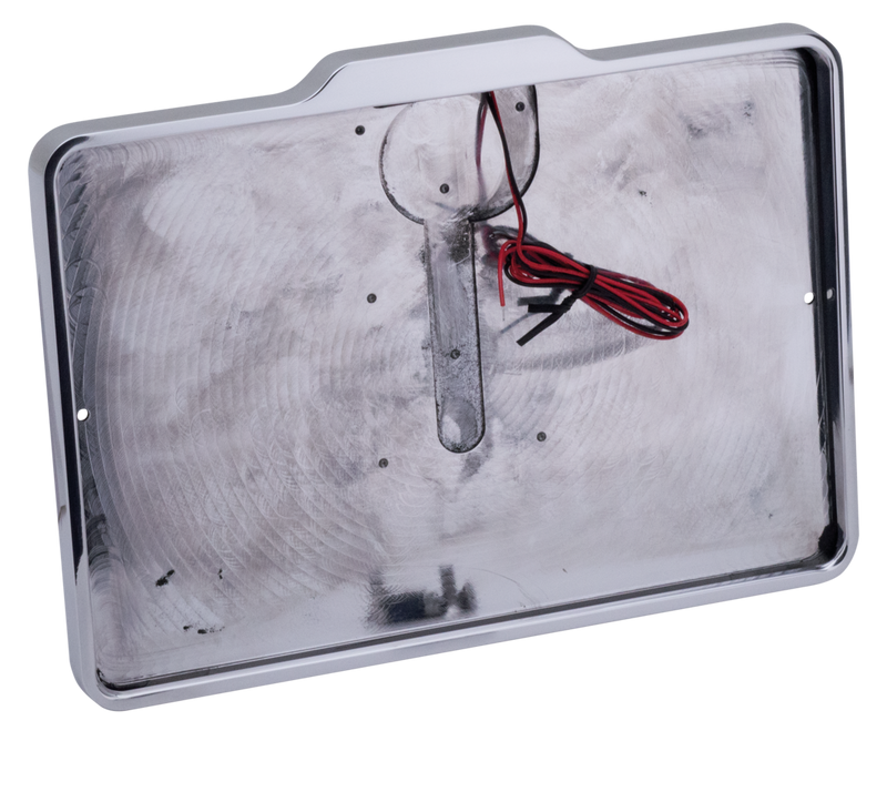 Licenseplateframe W/Lic Light Polish Dk