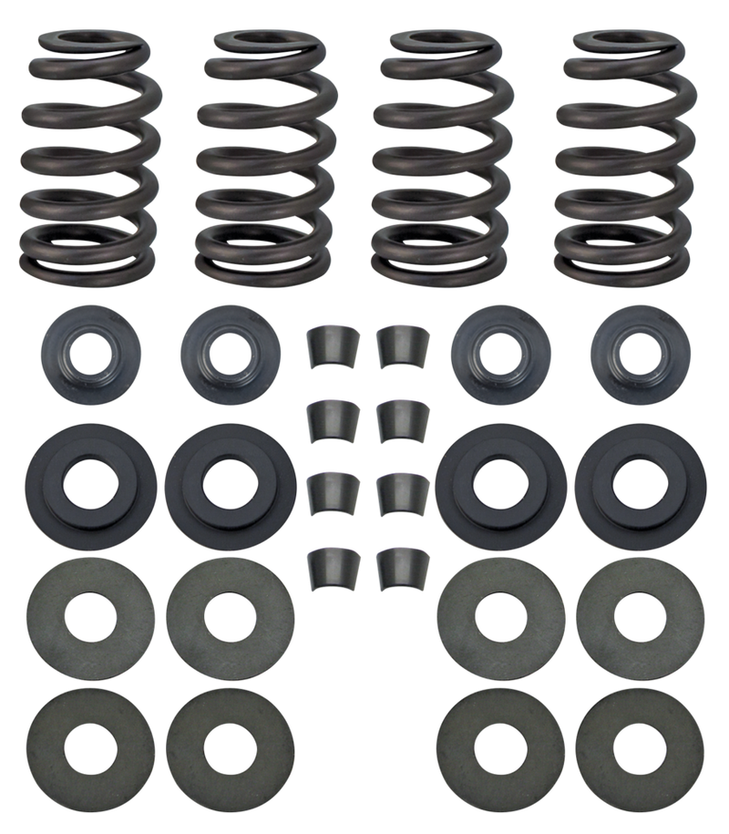 Valve Spring Kit Street Performance