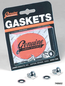 41mm Fork Drain Screw Kit Chrome