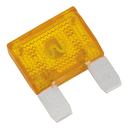 40-AMP MAXI Fuse, EA 72314-01
