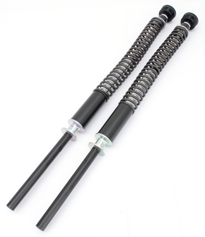 FLHxs17 / Fltrxs17-Up Cartridge Kit