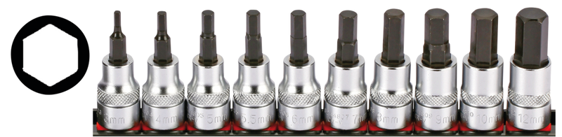 3/8 Inch Socketbitset Hex Metric 10Pc On Rai