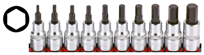 1/2 Inch Socketbitset Hex Metric 10Pc On Rai