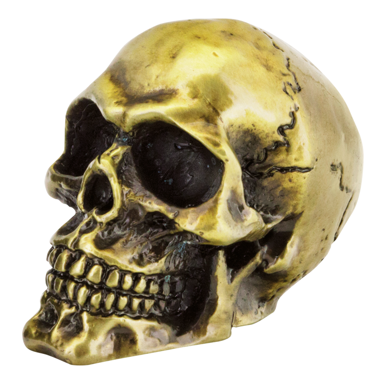 Bronze Fender Mounted Skull